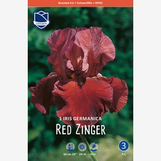 Iris Germanica, Red Zinger