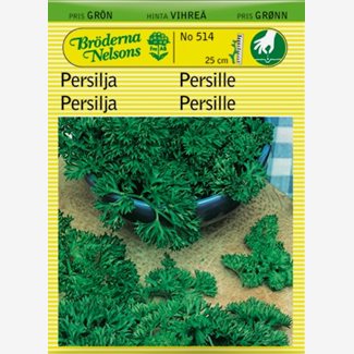 Persilja, mosskrusig, Moss curled 2
