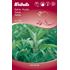 Salvia, krydd-