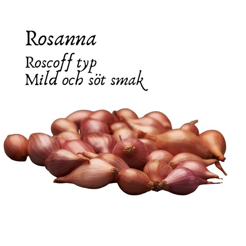 Rosa lök, Rosanna, 250 gram