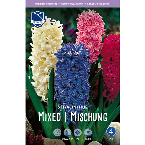 Hyacint, Blandade färger