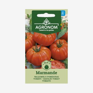 Tomat, Marmande